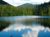 В Госрыбагентстве назвали главное условие для запуска рыбоохранных патрулей