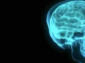 Ученые научились делать мозг прозрачным