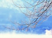 Температурный баланс в Украине нарушен