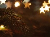 Мира и здоровья: Власти поздравили христиан западного обряда с Рождеством