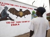 В Сьерра-Леоне зафиксировали новую вспышку Эболы