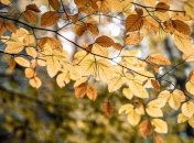 14 сентября - праздник, что категорически запрещено делать, главные приметы