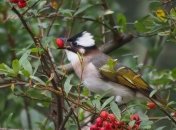 Какой праздник 15 мая: народные приметы и запреты
