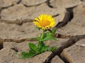 "Адская" жара: синоптики дали прогноз погоды на ближайшие дни