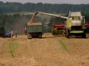 Украина начнет экспортировать зерно в Катар