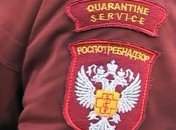 Россиян оставят без импортных моющих средств