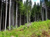 В Украине ликвидируют Госэкоинспекцию