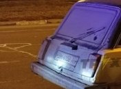 Пьяная компания устроила заварушку с полицией в Харькове (фото и видео)