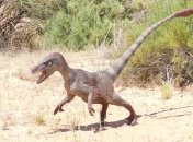 В Китае обнаружены окаменелые останки предка современных птиц (Фото)