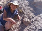 Палеонтологи нашли уникальные останки динозавра 