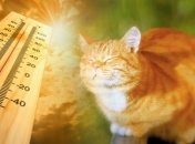 Великодні вихідні принесуть українцям тепло і грози: прогноз синоптиків