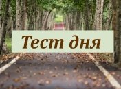 Тест по картинке - что может сказать о вас дорога