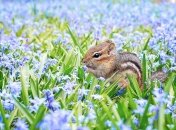 14 мая не жалуются на жизнь