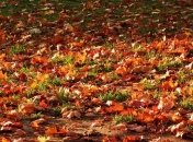 Календарь церковных праздников на ноябрь 2019 года