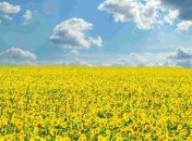 Прогноз погоды на 21 июля: ясно, на востоке небольшой дождь