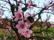 Днем - солнце, ночью - заморозки: какой будет погода до конца недели