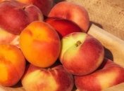 Названы самые полезные летние продукты