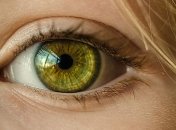 Соколиное зрение: продукты, которые рекомендуют офтальмологи (Фото)