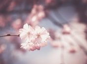 Погода в Україні