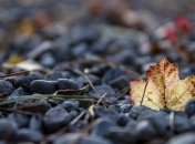 Приметы и обряды на 22 октября - День Якова