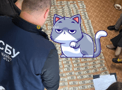 Кошка на деньгах, изъятых СБУ