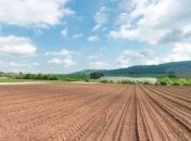 С нового года вступает в силу закон о коллективной собственности на землю