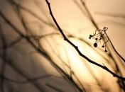 Прогноз погоды в Украине на сегодня: солнечно и тепло 