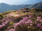 Северная Корея - страна древнейшей, своеобразной истории