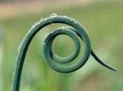 30 мая. Приметы дня