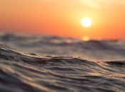 Закисление океана может вызвать массовое вымирание рыб и морских животных