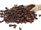 Лечение разных заболеваний гвоздикой