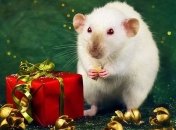 Каким Знакам восточного гороскопа повезет в 2020 году