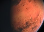 Марсианские грибы: Группа ученых сообщает об обнаружении внеземной жизни