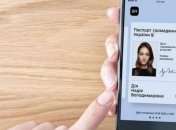 В скором времени э-паспорта приравняют к бумажным: заявление главы Минцифры Федорова