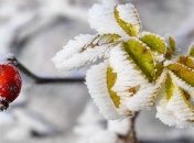 Синоптики рассказали, когда в Украину вернется потепление