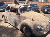 "Мохнатый" Volkswagen Beetle продают в Великобритании (Фото)