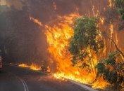 Лесной пожар бушует в американских штатах Джорджия и Флорида