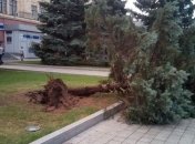 Ураган прошел в Харькове: ветер снес железный павильон, и валил деревья