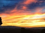 ЮАР: невероятные факты, которые вас удивят