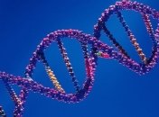 Специалисты назвали главную причину ожирения 