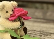 День ангела Дарьи: значение имени и поздравления