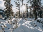 Какой сегодня праздник - День Николая Студеного