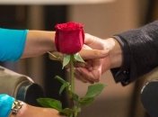 Холостяк 10: первые подробности нового сезона реалити-шоу (Видео)