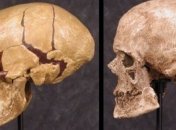 Антропологи воссоздали внешность кроманьонца по его черепу 