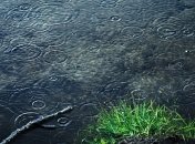 В Украине прогнозируют грозы