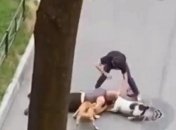 Закрыл любимца собственным телом: мужчина поразил сеть героизмом при нападении стаффов (видео)