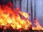 В Новой Зеландии сильные лесные пожары угрожают городу Крайстчерч