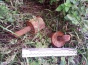 На Луганщине обнаружили останки времен Второй мировой войны