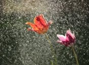 Україну очікують грози та тепло до 25°