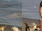 Дженнифер Энистон и Джастин Теру будут иногда встречаться ради собак 